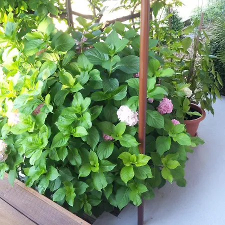 With A Parking Space Seget Donji, - 11524 Lägenhet Trogir