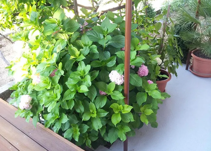 With A Parking Space Seget Donji, - 11524 Lägenhet Trogir